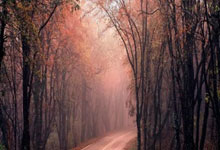 孫興慜接近與熱刺完成續約 新合同簽至2025.