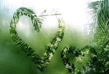 6T体育：新民晚報：隊長歸位外援到場 上海男籃能否實現反彈之夢.